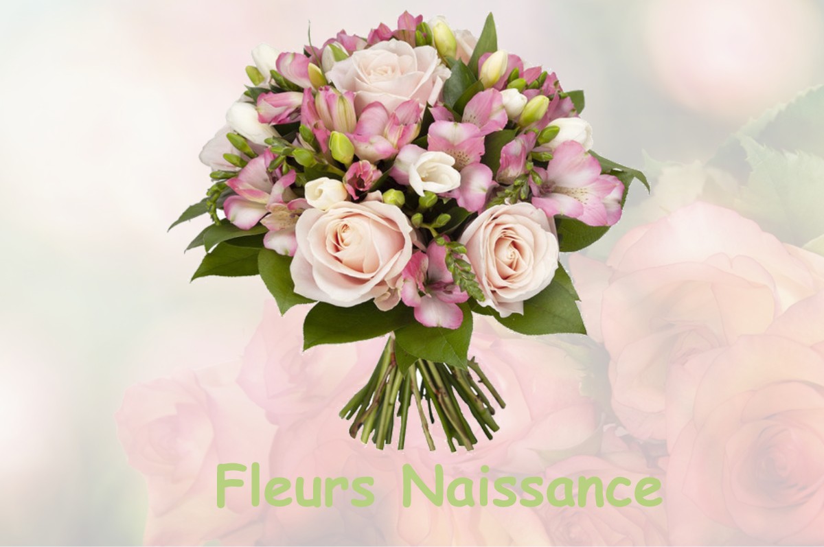 fleurs naissance SENAUD