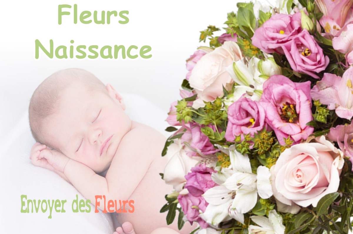 lIVRAISON FLEURS NAISSANCE à SENAUD